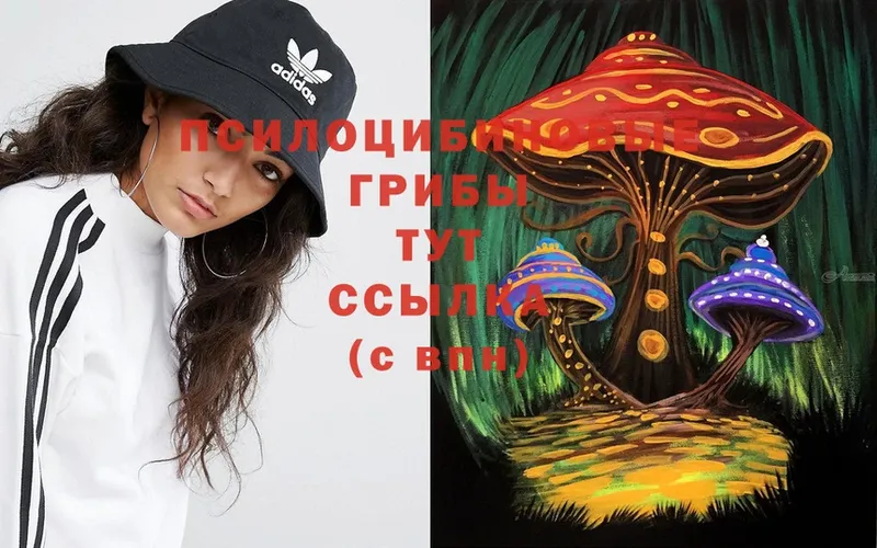 Галлюциногенные грибы Psilocybine cubensis  где продают наркотики  Горнозаводск 